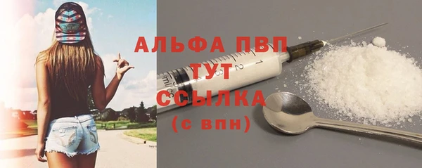 гашик Карпинск