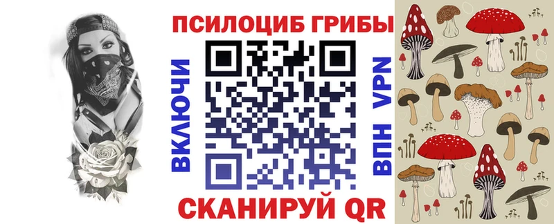 мега ТОР  Мещовск  Псилоцибиновые грибы ЛСД  продажа наркотиков 